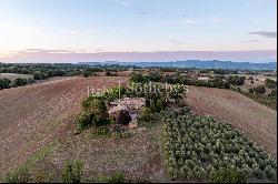 Historic farmhouses in the Italian Countryside near Orvieto