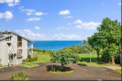 3811 EDWARD RD,Princeville, HI, 96722