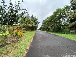 15-1675 7th Avenue, Keaau HI 96749