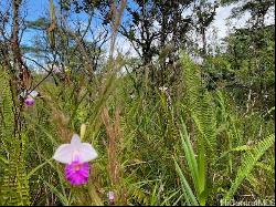 15-1675 7th Avenue, Keaau HI 96749