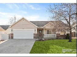 3677 Settler Ridge Dr, Mead CO 80542