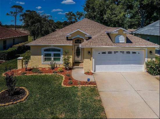 13133 Golf Ridge Place, Hudson FL 34669