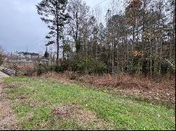 0 Wilkinson/King Rd, Liberty MS 39645