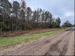 0 Wilkinson/King Rd, Liberty MS 39645