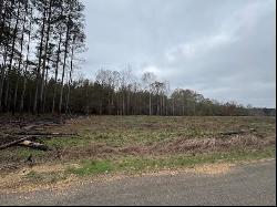 0 Wilkinson/King Rd, Liberty MS 39645