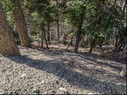 Lot 8 Coyote Lane, Taos Ski Valley NM 87525