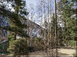 Lot 8 Coyote Lane, Taos Ski Valley NM 87525