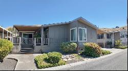 353 Millpond Dr, San Jose CA 95125