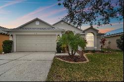 6410 Chapel Pines Boulevard, Wesley Chapel FL 33545