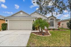 6410 Chapel Pines Boulevard, Wesley Chapel FL 33545