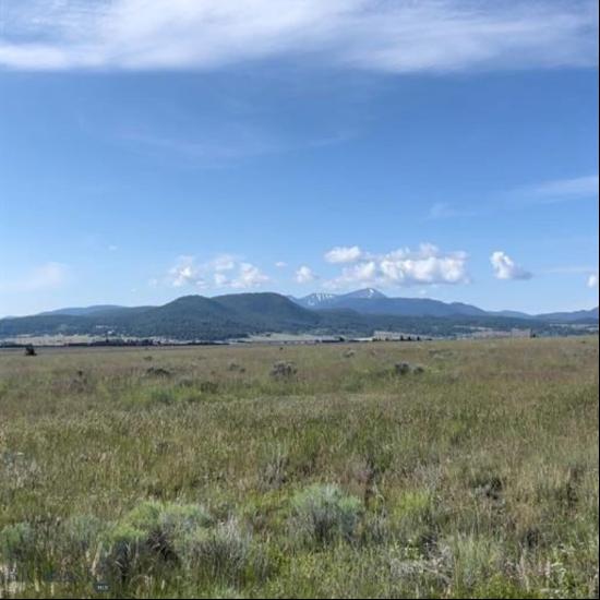 TBD S Warren Avenue, Butte MT 59701