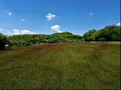 9591 Clovercroft Rd Lot 2, Franklin, TN, 37067