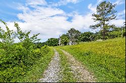 9591 Clovercroft Rd Lot 3, Franklin, TN, 37067