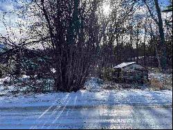 Harbor Springs Lot