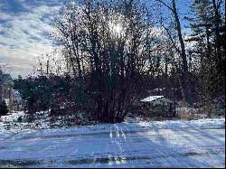 Harbor Springs Lot