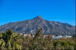 Exceptionally presented penthouse with 360º panoramic views in t, Marbella 29660