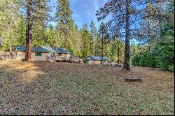 26840 Lake Drive, Pioneer CA 95666