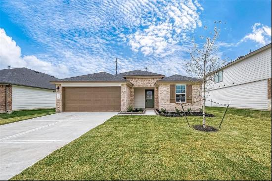 7438 Audubon Russet Drive, Richmond TX 77469