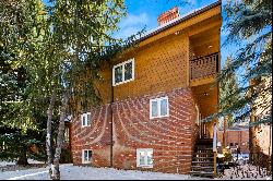 805 East Cooper Avenue, Aspen, CO 81611