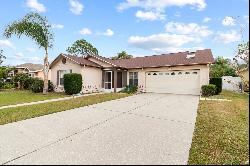 11015 Streamside Drive, Tampa FL 33624