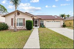 11015 Streamside Drive, Tampa FL 33624