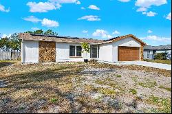 12909 Tallowood Court, Riverview FL 33579