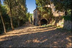 Sassetta, elegance and nobility in the villa in Val di Cornia