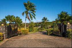 A Private Oceanview Estate in Kapalua, Maui