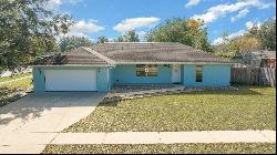 3540 SW 148th Place, Ocala FL 34473