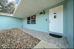 3540 SW 148th Place, Ocala FL 34473