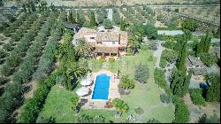 Magnificent finca with olive grove in Calvia