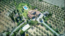 Magnificent finca with olive grove in Calvia