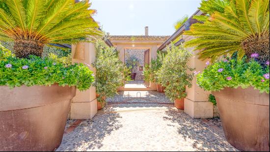 Magnificent finca with olive grove in Calvia