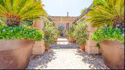 Magnificent finca with olive grove in Calvia