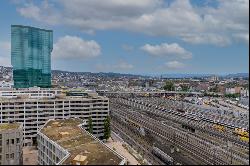 2½-room city flat over the Zurich rooftops