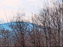 Perched on Sugar Bush Drive