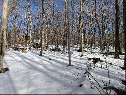 Perched on Sugar Bush Drive