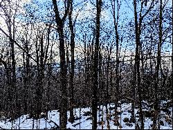 Perched on Sugar Bush Drive