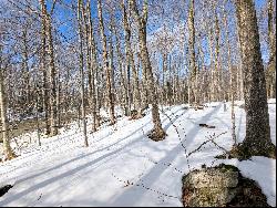 Perched on Sugar Bush Drive