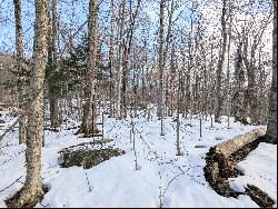 Perched on Sugar Bush Drive