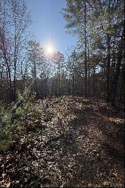 Delightful Pre-Construction Cottage in Desirable Location in Blue Ridge Region