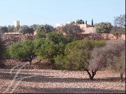 Lovely 7 hectare estate south of Essaouira