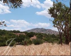 Lovely 7 hectare estate south of Essaouira