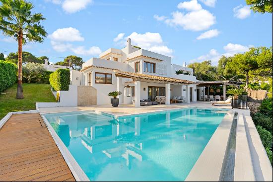 Beautiful renovated villa with pool facing the sea