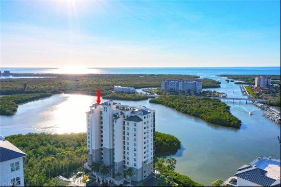 420 Cove Tower DR, #1001, Naples, FL, 34110, USA