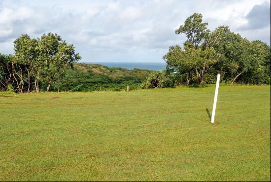 ANINI RD, #54, Kilauea, HI, 96754, USA