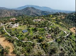 Finca-Marbella Este - La Mairena