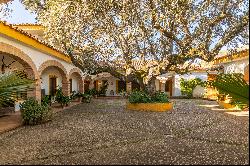 Luxury Estate with Private Airstrip and Hunting Potential in Cáceres.