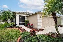 5246 Gato Del Sol Circle, Wesley Chapel FL 33544