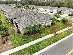 5246 Gato Del Sol Circle, Wesley Chapel FL 33544